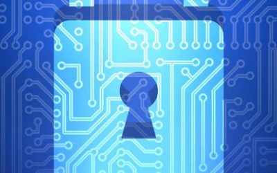 Browser security for business data