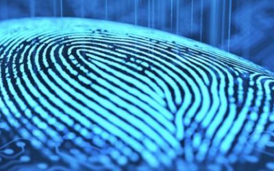 Chrome, Edge, Firefox to Support Biometrics