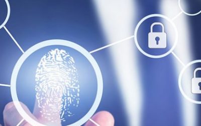 The business benefits of IAM